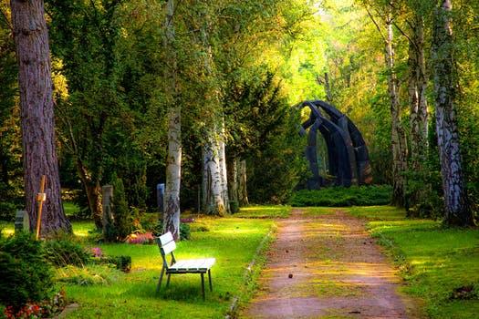 Green forest with a dirt pathway